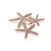    biOrb   Starfish ()